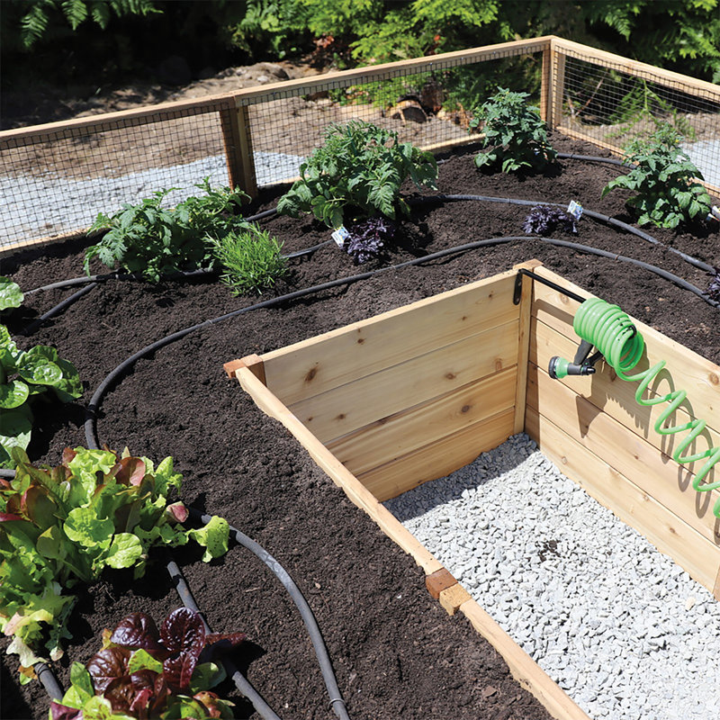 小物入れ Neighborhood garden bed Shelf Outdoor Living Today 8 ft x 12 ft Cedar Garden in A Box Kit